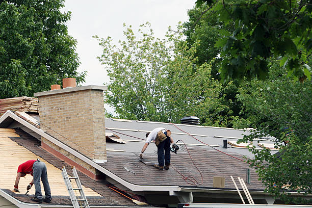 Best Roof Gutter Cleaning  in Massanutten, VA