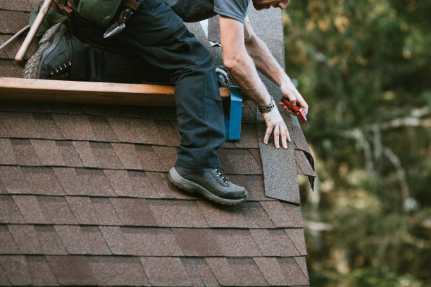 Best Roof Gutter Cleaning  in Massanutten, VA